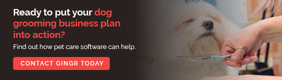 dog grooming business plan example